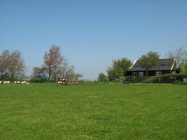 Maison de vacances /en/au Hippolytushoef (Noord-Holland)ou appartement ou maison de vacances