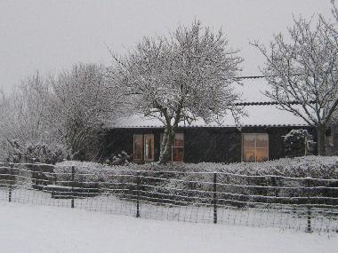 Maison de vacances /en/au Hippolytushoef (Noord-Holland)ou appartement ou maison de vacances