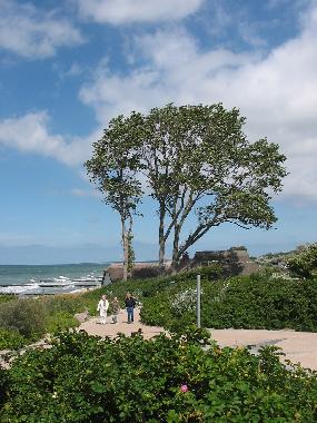 Maison de vacances /en/au Ahrenshoop (Fischland-Dar-Zingst)ou appartement ou maison de vacances