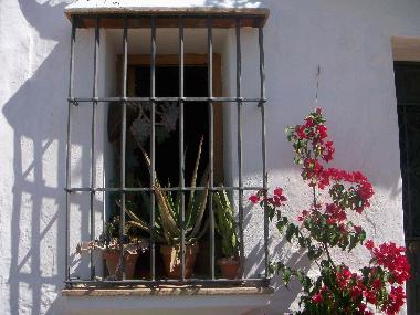 Maison de vacances /en/au OJEN (Mlaga)ou appartement ou maison de vacances