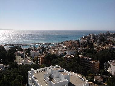Maison de vacances �/en/au palma (Mallorca)ou appartement ou maison de vacances