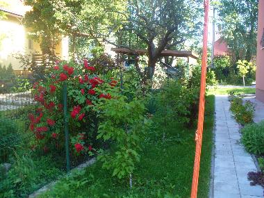 Appartement de vacances �/en/au Selenogradsk  (Kaliningradskaya Oblast)ou appartement ou maison de vacances