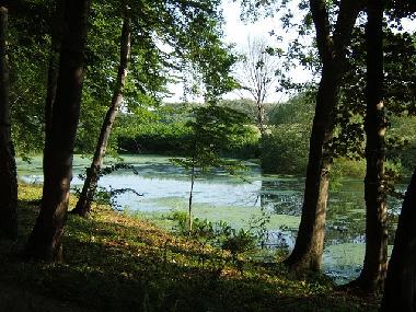 Palais / Chteau /en/au Khlungsborn (Mecklenburgische Ostseekste)ou appartement ou maison de vacances