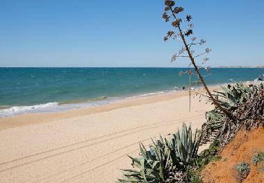 Maison de vacances /en/au Albufeira (Algarve)ou appartement ou maison de vacances