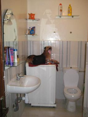 Appartement de vacances �/en/au Tanger (Tanger)ou appartement ou maison de vacances