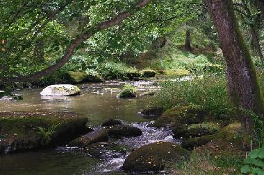 Appartement de vacances �/en/au B�rnau/Iglersreuth (Oberpfalz)ou appartement ou maison de vacances