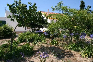 Maison de vacances �/en/au azambuja (Grande Lisboa)ou appartement ou maison de vacances