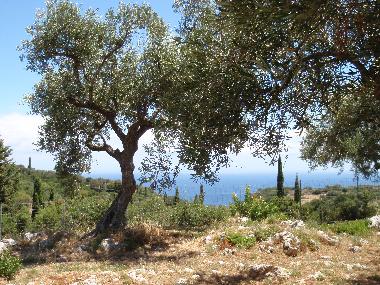 Maison de vacances /en/au Volimes (Zakynthos)ou appartement ou maison de vacances