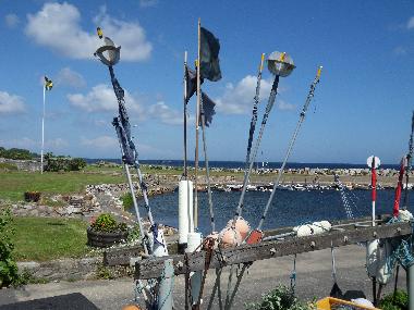 Maison de vacances /en/au Simrishamn (Skne)ou appartement ou maison de vacances