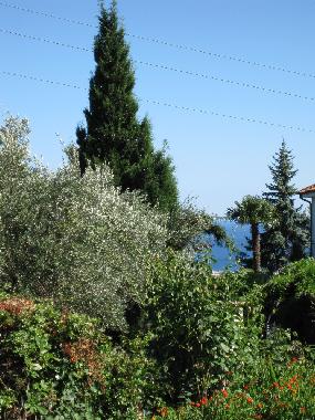 Maison de vacances �/en/au BOISSANO (Savona)ou appartement ou maison de vacances