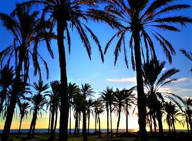 Appartement de vacances /en/au Torrevieja-Punta Prima (Alicante / Alacant)ou appartement ou maison de vacances