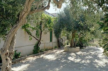 Maison de vacances /en/au Trapani (Rilievo) (Trapani)ou appartement ou maison de vacances