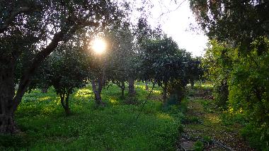 Maison de vacances /en/au Trapani (Rilievo) (Trapani)ou appartement ou maison de vacances