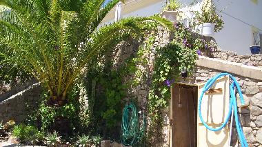 Maison de vacances /en/au Sao Bras de Alportel (Algarve)ou appartement ou maison de vacances
