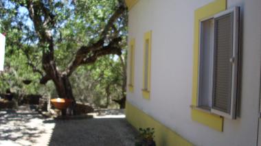 Maison de vacances /en/au Sao Bras de Alportel (Algarve)ou appartement ou maison de vacances