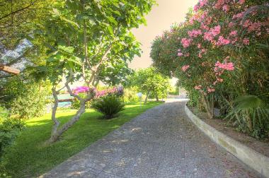 Maison de vacances �/en/au Sorrento(Sant Agnello Colli di Fontanelle) (Napoli)ou appartement ou maison de vacances