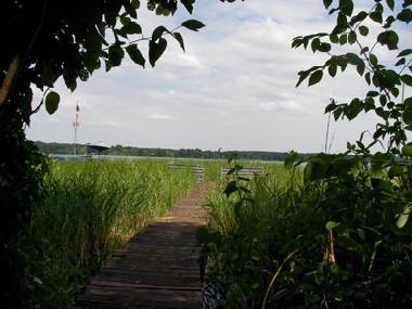 Maison de vacances �/en/au Bad Saarow (Oder-Spree)ou appartement ou maison de vacances