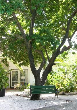 Appartement de vacances �/en/au Willemstad (Curacao)ou appartement ou maison de vacances