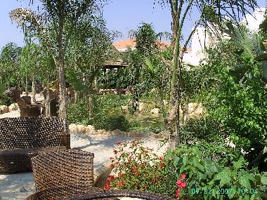 Appartement de vacances /en/au Ayia Napa (Famagusta)ou appartement ou maison de vacances