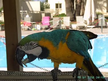 Appartement de vacances /en/au Ayia Napa (Famagusta)ou appartement ou maison de vacances