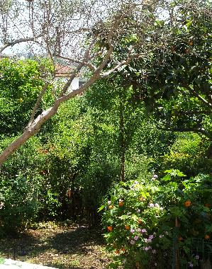 Maison de vacances �/en/au Scauri (LT) (Latina)ou appartement ou maison de vacances