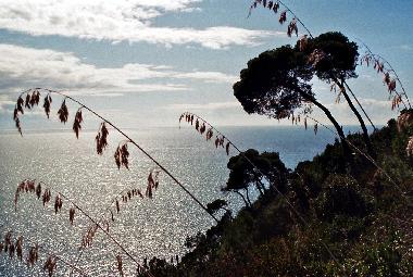 Maison de vacances �/en/au Scauri (LT) (Latina)ou appartement ou maison de vacances