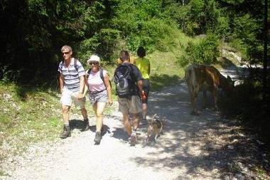 Appartement de vacances �/en/au Bohinjska Bistrica (Bohinj)ou appartement ou maison de vacances