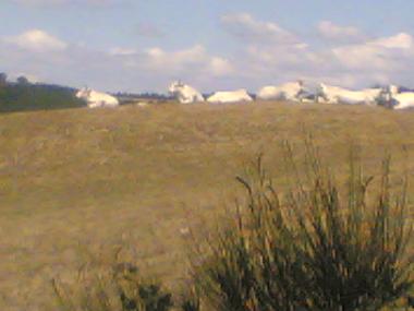 Appartement de vacances /en/au pienza monticchiello (Siena)ou appartement ou maison de vacances