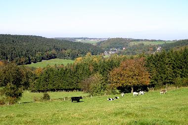 Maison de vacances �/en/au Stolberg-Zweifall (Eifel und Region Aachen)ou appartement ou maison de vacances