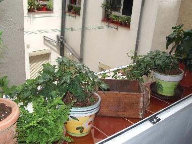 Appartement de vacances �/en/au madrid (Madrid)ou appartement ou maison de vacances