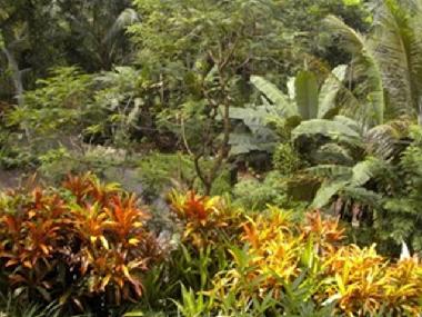 Maison de vacances �/en/au Pilimathalawa (Kandy)ou appartement ou maison de vacances