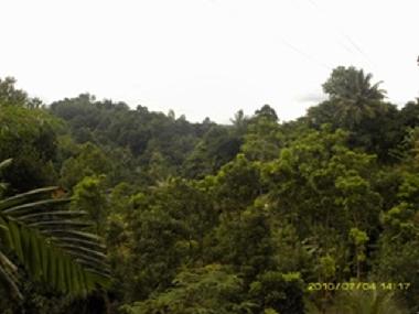 Maison de vacances �/en/au Pilimathalawa (Kandy)ou appartement ou maison de vacances
