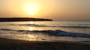 Appartement de vacances /en/au Pafos Peyia (Paphos)ou appartement ou maison de vacances