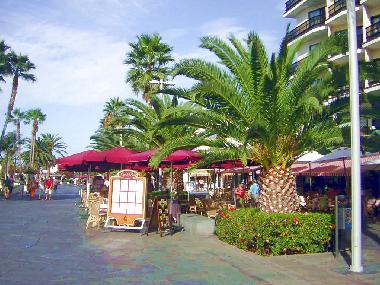 Appartement de vacances �/en/au La Longuera (Teneriffa)ou appartement ou maison de vacances