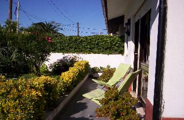 petit jardin ensoleill  face au Sud 