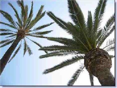 Appartement de vacances �/en/au sliema  (Malte)ou appartement ou maison de vacances