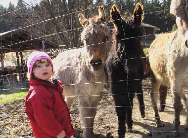 Maison de vacances �/en/au Crottendorf (Erzgebirge)ou appartement ou maison de vacances