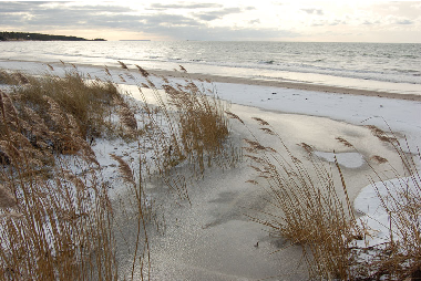 Maison de vacances �/en/au Romakloster  (Gotland)ou appartement ou maison de vacances