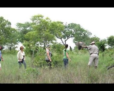 Chambre avec petit d�jeuner �/en/au Southern Kruger Park (Mpumalanga)ou appartement ou maison de vacances
