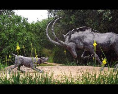 Chambre avec petit d�jeuner �/en/au Southern Kruger Park (Mpumalanga)ou appartement ou maison de vacances