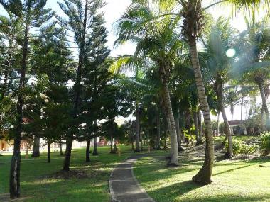 petit aper�u du jardin tropical de 7 hectares
