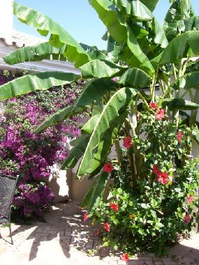 Maison de vacances /en/au Nuevo Portil (Huelva)ou appartement ou maison de vacances