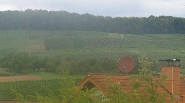 Appartement de vacances /en/au Schliengen - Liel (Schwarzwald)ou appartement ou maison de vacances