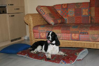 Maison de vacances /en/au Nuevo Portil (Huelva)ou appartement ou maison de vacances