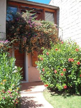 Appartement de vacances /en/au Baja Sardinia (Olbia-Tempio)ou appartement ou maison de vacances