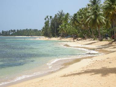 Chalet �/en/au domenican (Samana)ou appartement ou maison de vacances