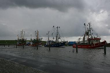 Maison de vacances /en/au Dorum-Neufeld (Nordsee-Festland / Ostfriesland)ou appartement ou maison de vacances