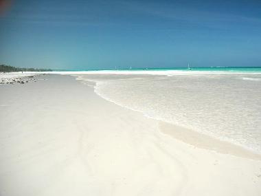 Maison de vacances �/en/au Diani (Coast)ou appartement ou maison de vacances
