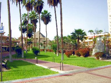 Maison de vacances /en/au Los Christianos (Teneriffa)ou appartement ou maison de vacances