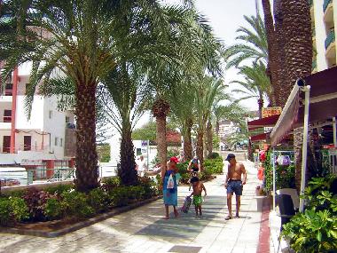 Maison de vacances /en/au Los Christianos (Teneriffa)ou appartement ou maison de vacances